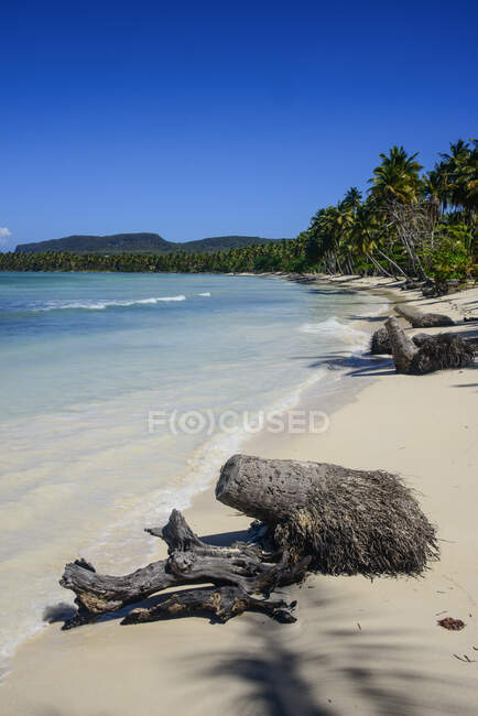 Vista panoramica della spiaggia contro il cielo azzurro durante la giornata di sole, Playa Grande, Repubblica Dominicana — Foto stock