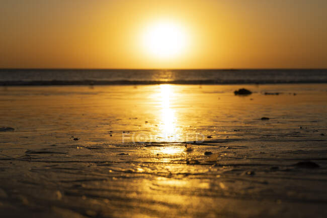 США, Калифорния, Санта-Моника, Заходящее солнце освещает мокрый песок прибрежного пляжа — стоковое фото