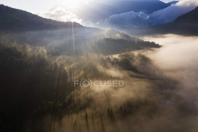 Germania, Baviera, Mittenwald, Sol Levante che illumina la nebbia che avvolge il lago Ferchensee e la foresta circostante — Foto stock