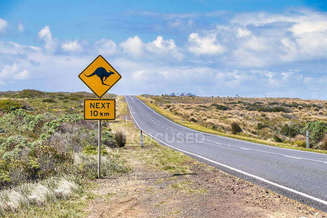 Känguru überquert Schild an der Great Ocean Road gegen Himmel, Victoria, Australien — Stockfoto