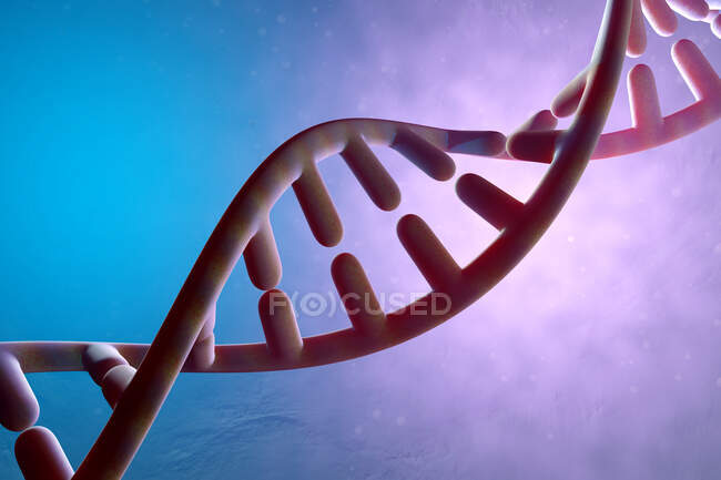 Rendement tridimensionnel de l'ADN double Helix — Photo de stock