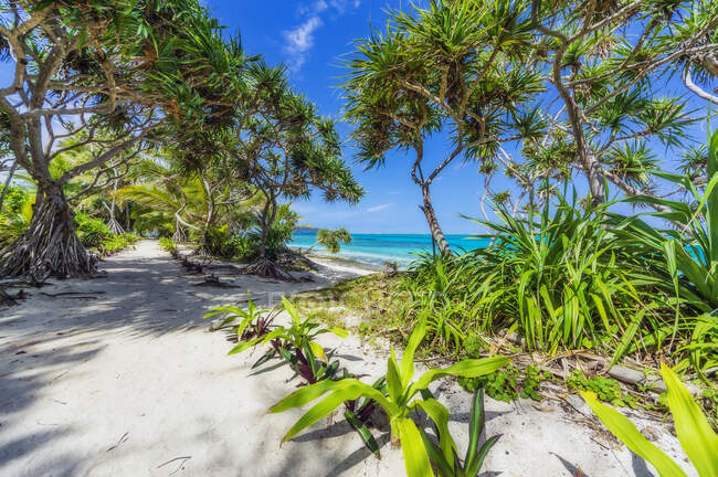 Vanuatu, Mystery Island, spiaggia, Pacifico meridionale — Foto stock