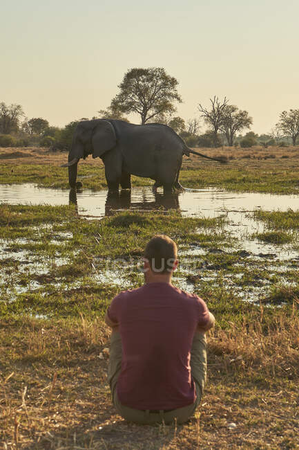 Mann beobachtet einen Elefanten, der im Wasser steht, Khwai, Botswana — Stockfoto