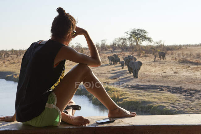 Femme observant un troupeau d'éléphants dans la rivière d'un point de vue, parc national de Hwange, Zimbabwe — Photo de stock