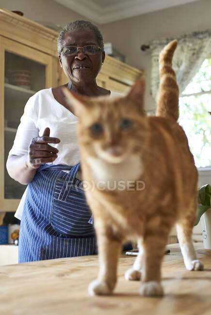 Seniorin mit Katze in Küche — Stockfoto