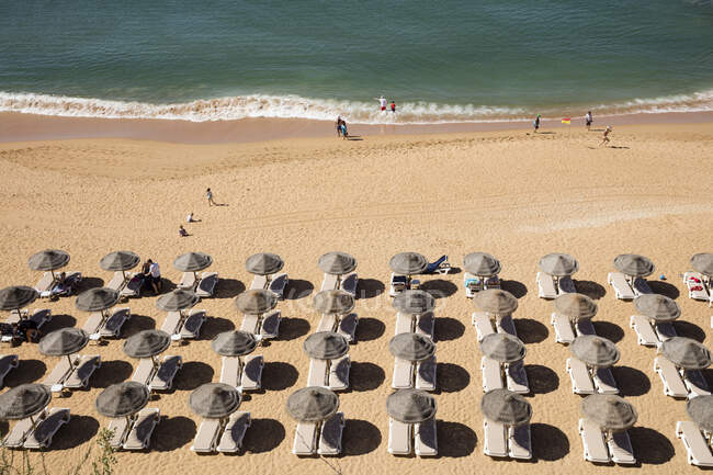 High angle view of lounge chairs and parasols at sandy beach during summer, Albufeira, Algarve, Portugal — Stock Photo