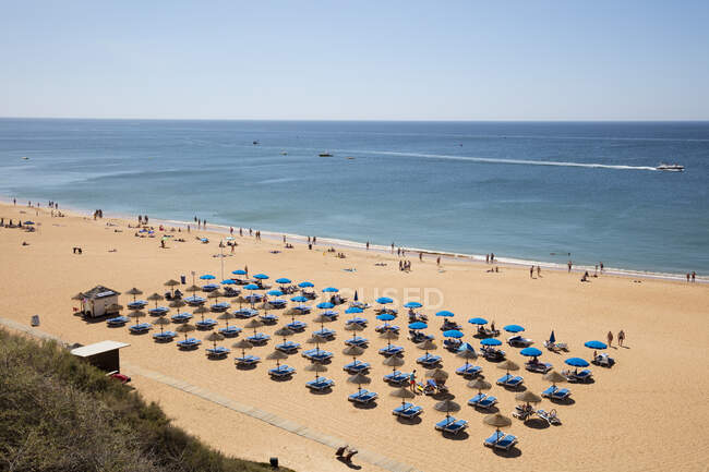 Lettini e ombrelloni in spiaggia durante l'estate, Albufeira, Algarve, Portogallo — Foto stock