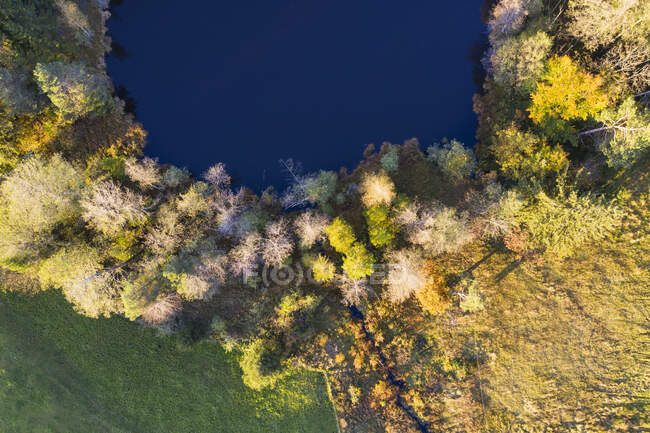 Alemanha, Baviera, Alta Baviera, Toelzer Land, Vista aérea do lago Unterbuchener Weiher — Fotografia de Stock