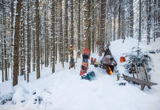 Áustria, Salzburgo, Altenmarkt im Pongau, Equipamento de esportes de inverno deitado na frente de cabana de floresta coberta de neve — Fotografia de Stock