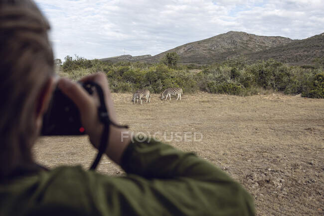 Vista posteriore della ragazza che fotografa le zebre, Inverdoorn game Reserve, Breede River DC, Sud Africa — Foto stock