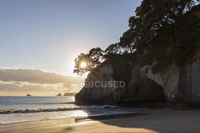 New Zealand, North Island, Waikato, seacoast at sunset — Stock Photo