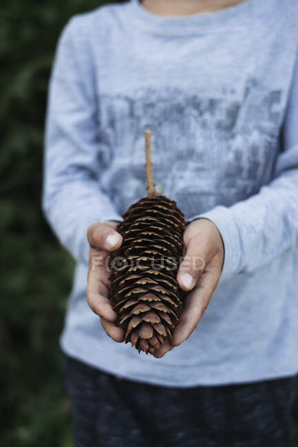 Midsection of boy holding big pine cone in Tara National Park, Serbia — Stock Photo