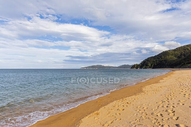 New Zealand, Footprints along sandy coastal beach — Stock Photo