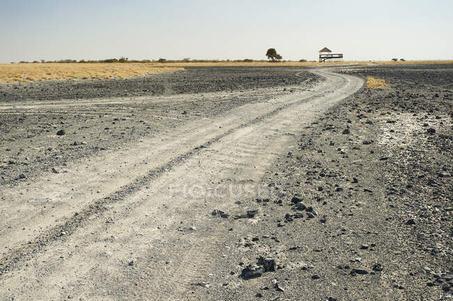 Camino de la suciedad, sartenes Makgadikgadi, Botswana - foto de stock