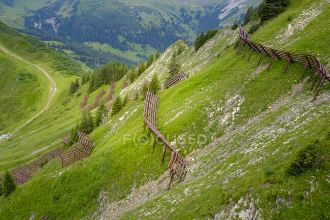 Австрия, Форарльберг, Миттельберг, Горный хребет, защищенный лавинными баррикадами — стоковое фото