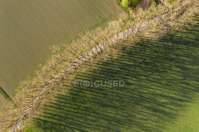 Veduta aerea di alberi con ombra su terreni erbosi a Icking, Germania — Foto stock