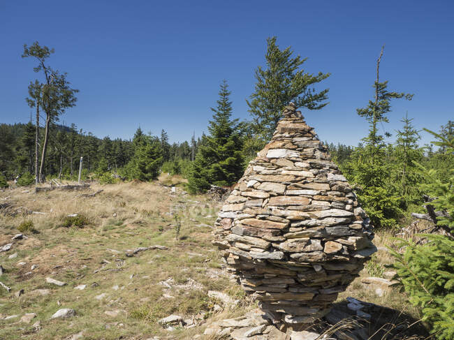 Steinskulptur an Land vor strahlend blauem Himmel im Bayerischen Wald — Stockfoto