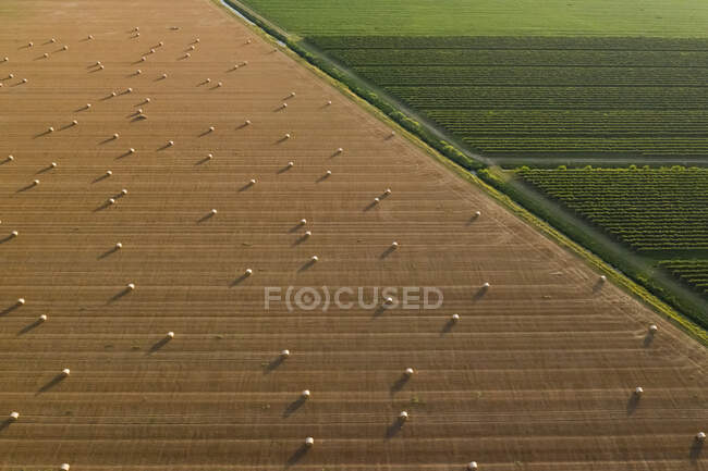 Veduta aerea dei terreni coltivati in Friuli-venezia Giulia — Foto stock