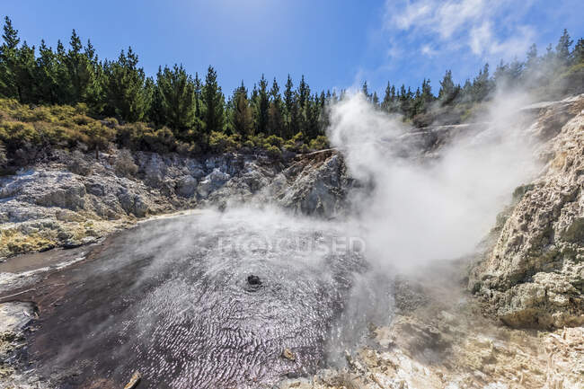 Hell's Gate, Geothermal Park, Tikitere, Rotorua, North Island, New Zealand — Stock Photo