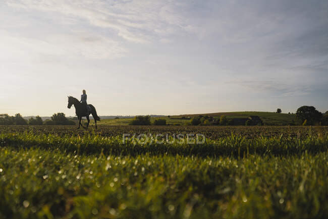 Femme à cheval sur un terrain à la campagne au coucher du soleil — Photo de stock
