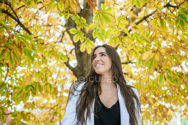Smiling woman standing under autumnal tree — Stock Photo