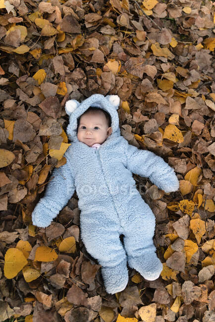 Портрет довольной малышки в светло-голубом костюме, лежащем на осенних листьях — стоковое фото