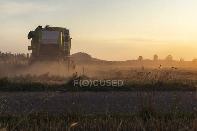 Органическое земледелие, пшеничное поле, сбор урожая, комбайны в вечернее время — стоковое фото