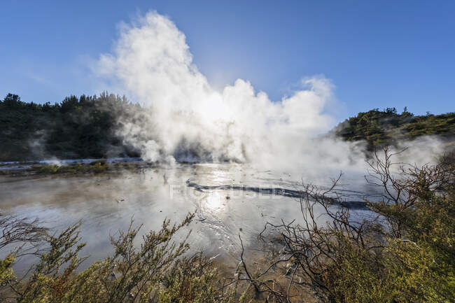 Parque Geotermal Orakei Korako, Zona Volcánica de Taupo, Isla Norte, Nueva Zelanda - foto de stock