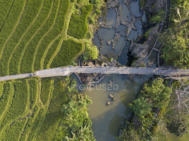 Aerial view of farmer riding motorcycle on road amidst agricultural land in Bali, Indonesia — Stock Photo