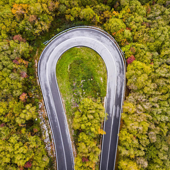Italia, Trentino, Trento, Veduta aerea della curva dell'autostrada vuota che attraversa la foresta autunnale delle Alpi europee — Foto stock