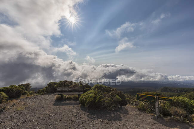 Nuova Zelanda, sole splende su una panchina vuota nel Parco Nazionale dell'Egmont — Foto stock