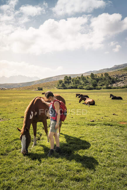 Randonneuse caressant cheval sauvage, Corse, France — Photo de stock