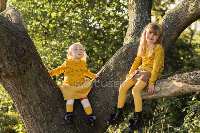 Duas meninas vestidas de amarelo sentadas no tronco da árvore — Fotografia de Stock