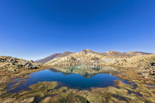 Nouvelle-Zélande, Île du Nord, Ciel bleu clair au-dessus d'un lac brillant dans l'île du Nord Plateau volcanique — Photo de stock