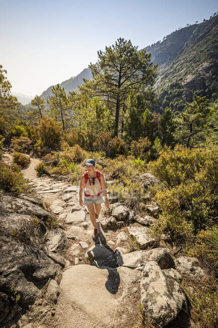 Senderista femenina durante la caminata en el valle de Tavignano, Corte, Haute-Corse, Córcega, Francia - foto de stock