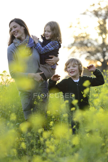 Мати, що носить доньку, йде з сином над квітковим лугом — стокове фото
