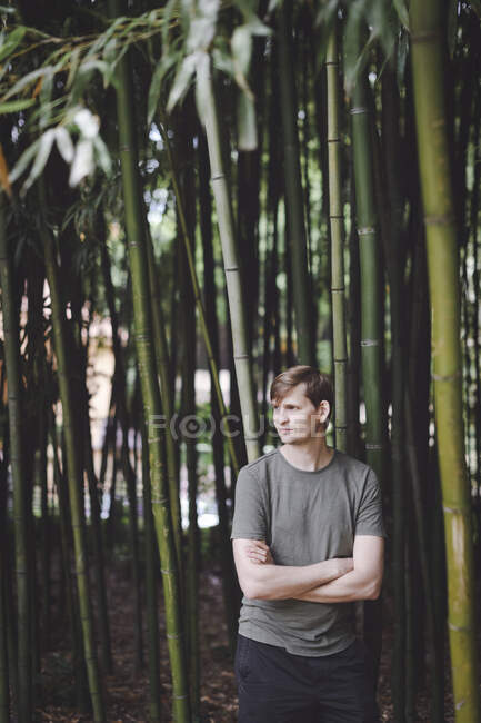 Человек, стоящий в бамбуковом лесу — стоковое фото