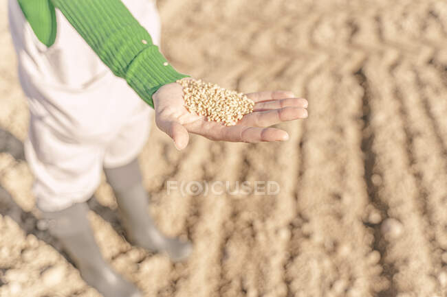 Mujer joven sembrando campo para el futuro - foto de stock