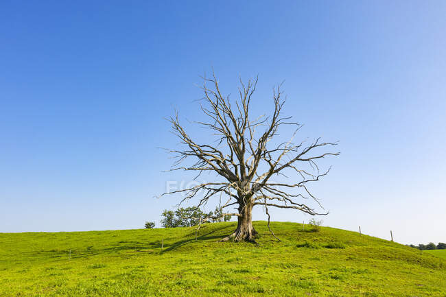 clear blue sky landscape