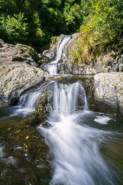 Upper Falls, Kaiate Falls, Bay of Plenty, North Island, Nova Zelândia — Fotografia de Stock