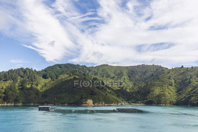 Nuova Zelanda, regione di Marlborough, Picton, allevamento di salmoni sulla costa dell'isola di Arapaoa — Foto stock