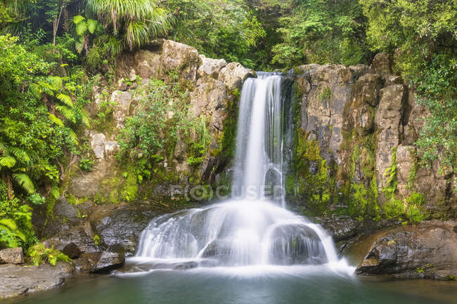 Нова Зеландія, Північний острів, Ваїкато, Ваіау, мальовничий вид на водоспад. — стокове фото