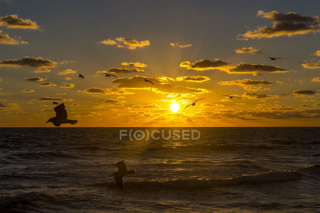 Idyllic view of Miami Beach in Florida, USA during sunrise — Stock Photo