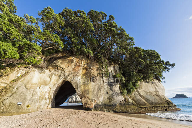 Nueva Zelanda, Isla Norte, Waikato, Arco natural de Cathedral Cove - foto de stock