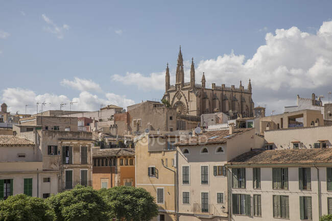 Vista ad angolo basso dell'edificio e Cattedrale di Palma contro il cielo alle Isole Baleari, Spagna — Foto stock