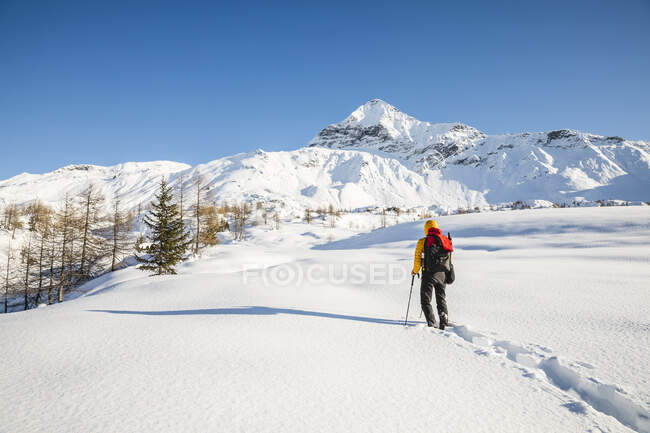 Пешие прогулки со снегоступами в горах, Вальмаленко, Сондрио, Италия — стоковое фото