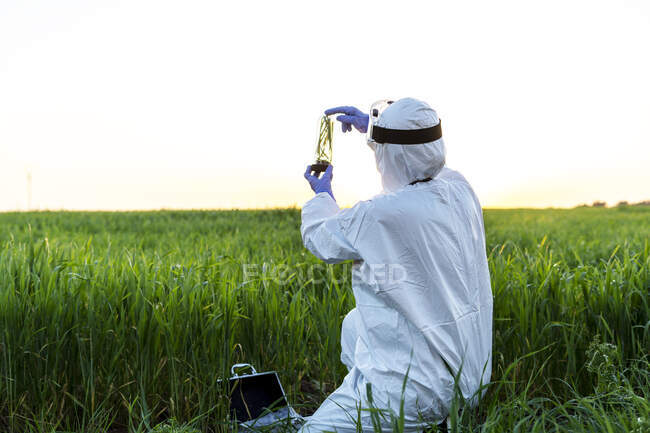 Donna scienziata che ricerca sul campo e tiene un bicchiere con pianta al tramonto — Foto stock