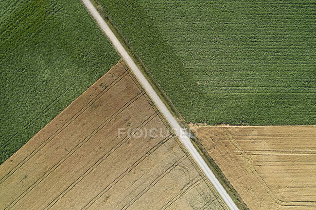 Germany, Bavaria, Drone view of country road cutting through green and yellow fields in summer — Stock Photo