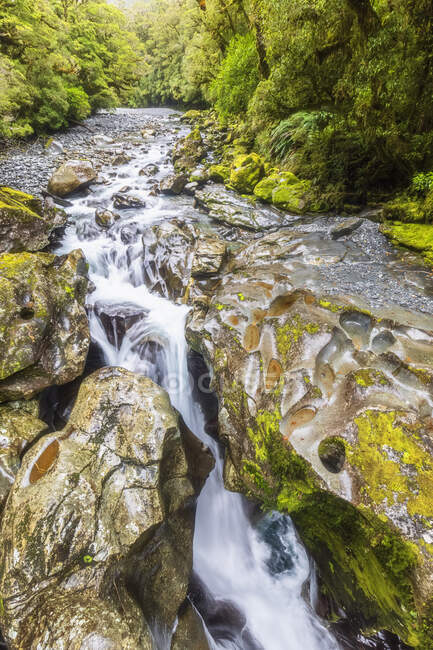Nouvelle-Zélande, Océanie, Île du Sud, Southland, Parc national de Fiordland, rivière Cleddau et cascade — Photo de stock