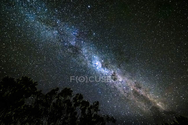 New Zealand, Milky Way galaxy on starry night sky — Stock Photo
